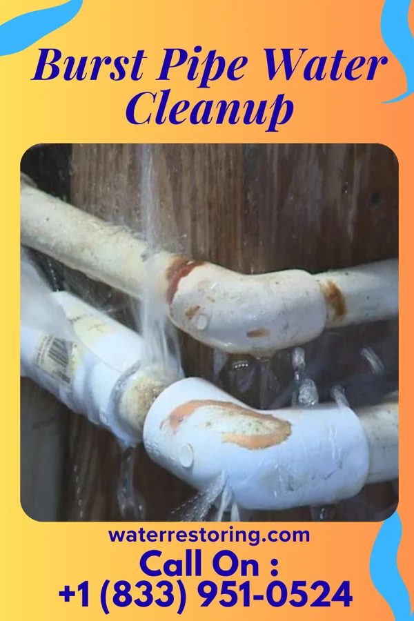 Burst Pipe Water Cleanup in Elberta, MI