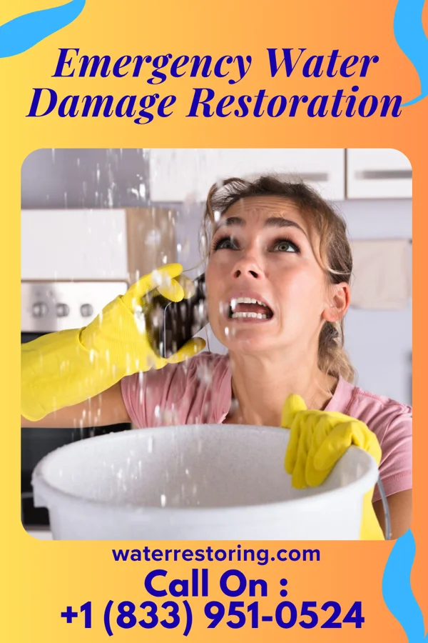 Emergency Water Damage Restoration in Elberta, MI