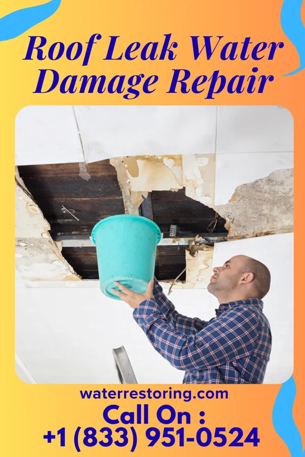 Roof Leak Water Damage Repair in Elberta, MI