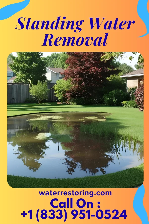Standing Water Removal in Elberta, MI